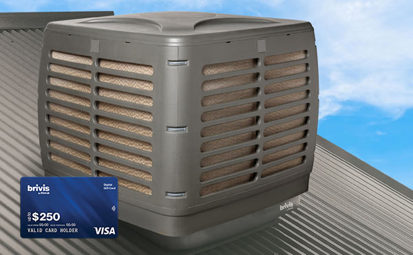 Brivis Balaero Evaporative Air Cooler